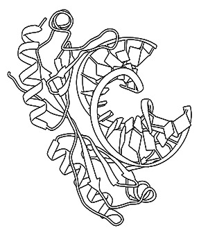 300x332 Pdb 101 Learn Coloring Books Coloring Molecular Machinery