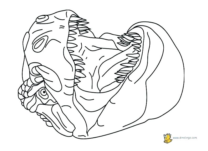 792x576 Dinosaur Pictures To Color And Dinosaurs Color Pages Dinosaur