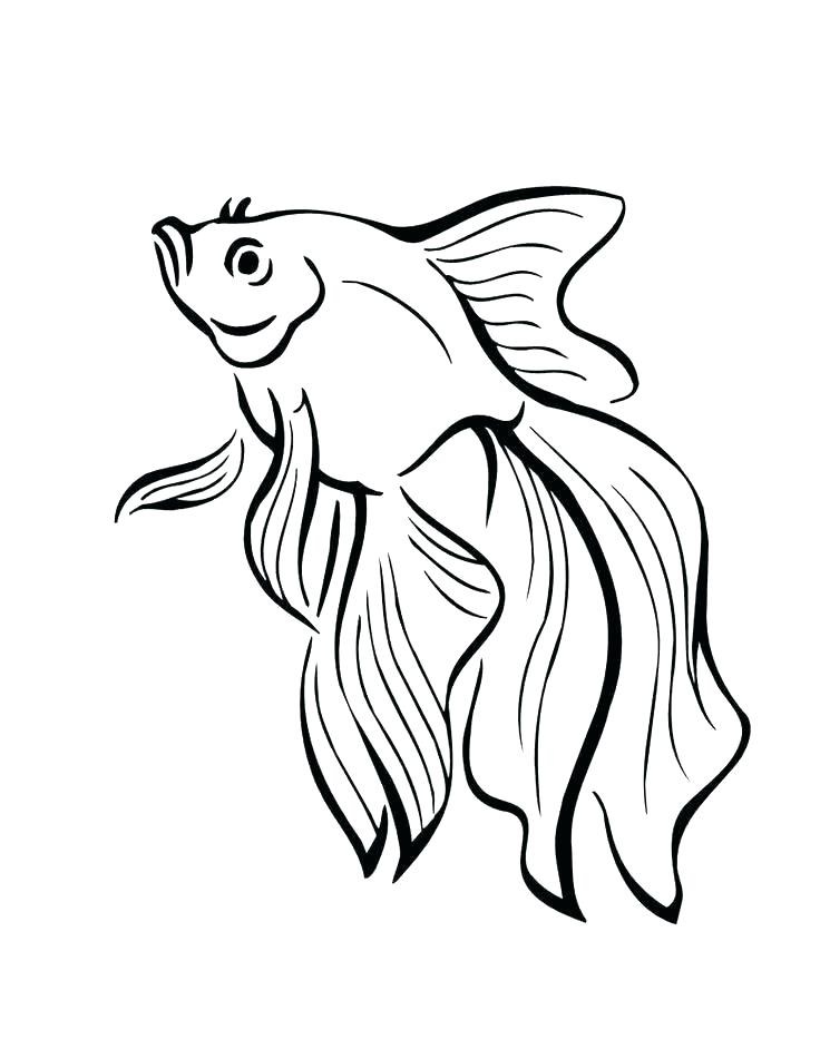 736x951 Printable Fish Coloring Pages And Fish Coloring Sheet Printable