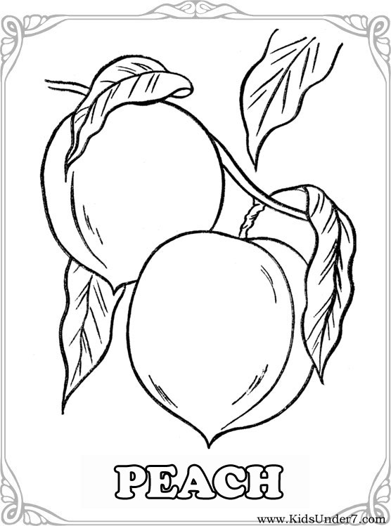556x749 Kids Under 7 Fruits And Berries Coloring Pages