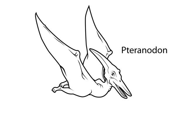 600x400 Pteranodon Coloring Pages Pteranodon From Late Cretaceous Period