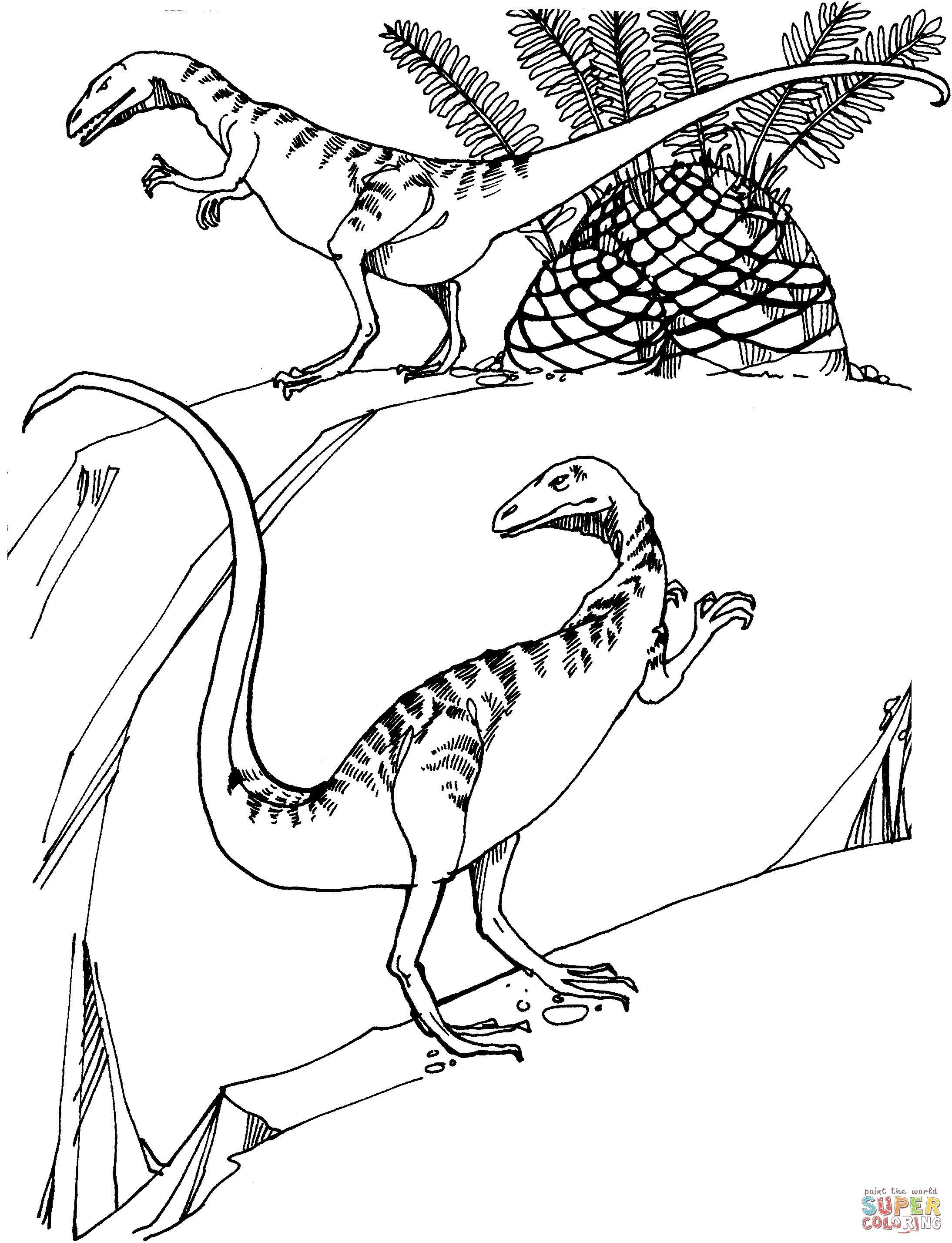 2188x2856 Two Pteranodons Dinosaurs Coloring Pages For Kids Best New