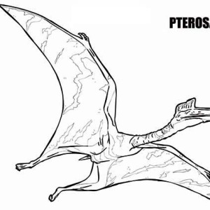 300x300 Cute Little Pteranodon Coloring Page Cute Little Pteranodon