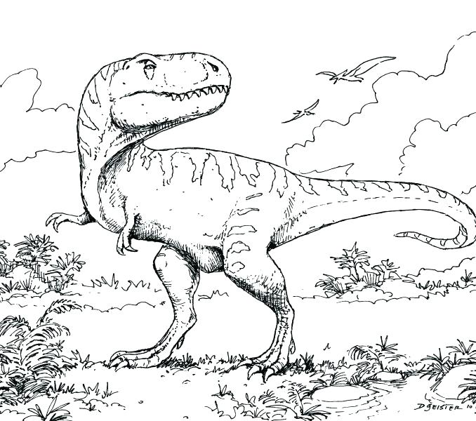 678x600 Pterodactyl Coloring Page Dinosaur Coloring Pages Coloring Pages