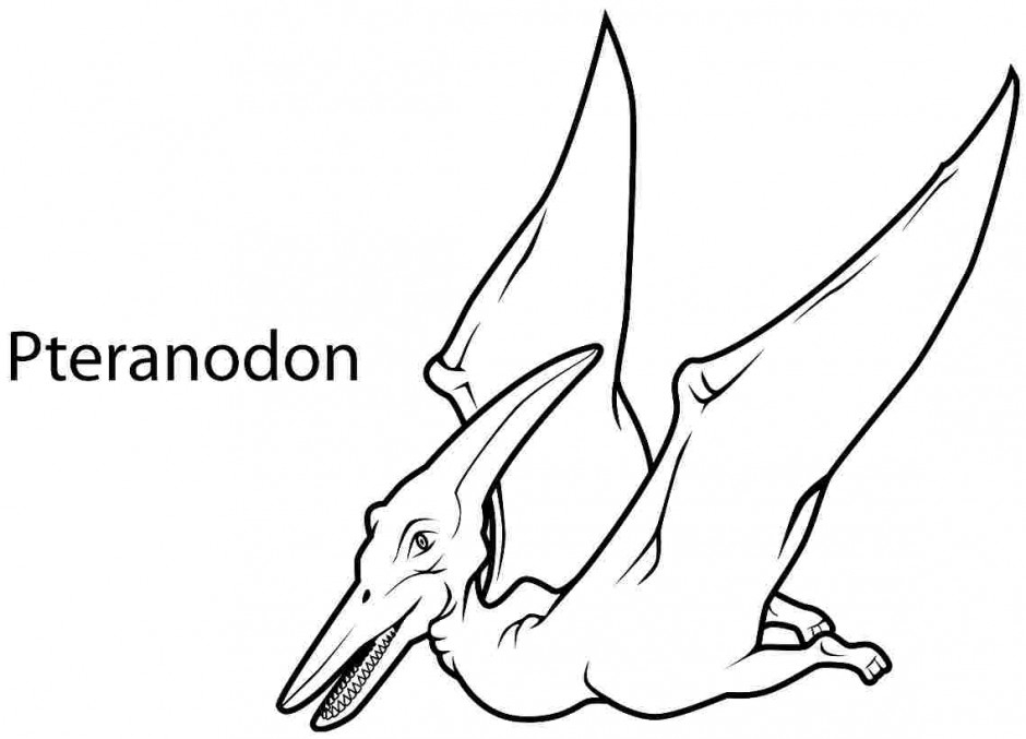 940x677 28 Pterodactyl Coloring Page Printable Free Coloring Pages
