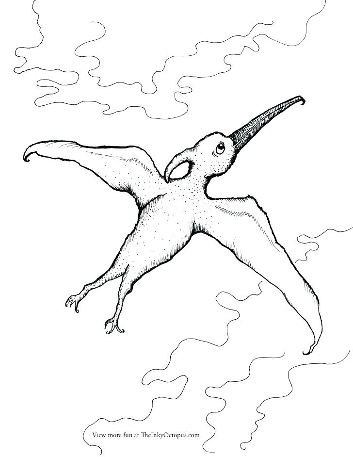 728x942 Pterodactyl Coloring Page Free Coloring Pages For Adults Easy