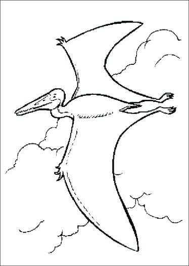 374x525 Pterodactyl Coloring Page Pterodactyl Coloring Page Pterodactyl