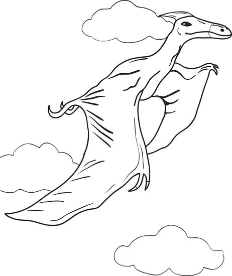 462x550 Pterodactyl Coloring Pages