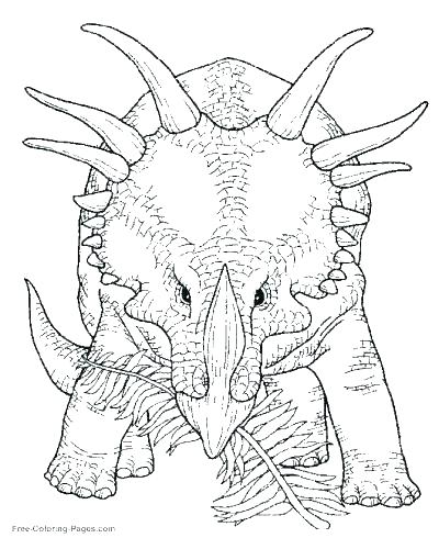 400x490 Pterodactyl Coloring Pages Pterodactyl Coloring Page Pterodactyl