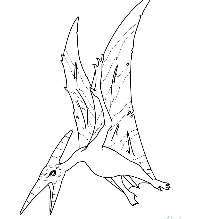820x900 Pterodactyl Coloring Page Bellabarewear.us