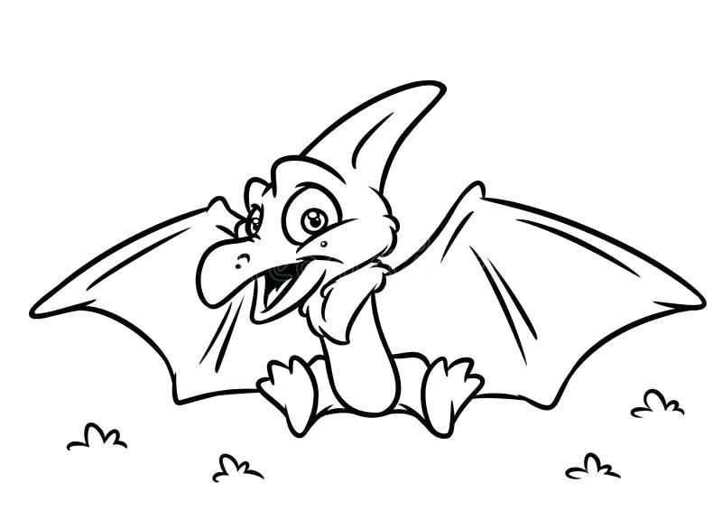 800x566 Pterodactyl Coloring Pages Coloring Pages Cards Printable Dinosaur