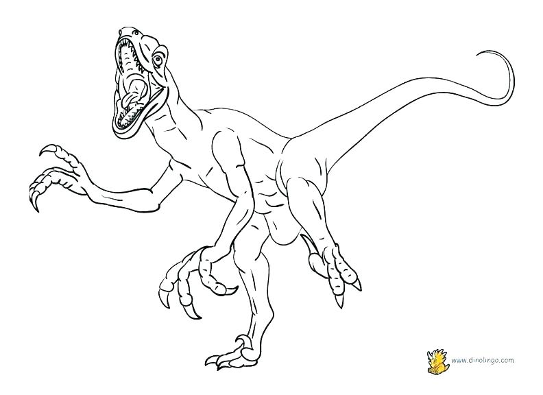 792x576 Pterodactyl Coloring Page