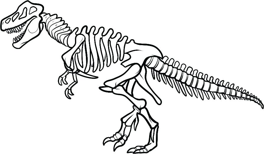 894x522 Dinosaur Coloring Page Dinosaur Skeleton Coloring Page Dinosaur