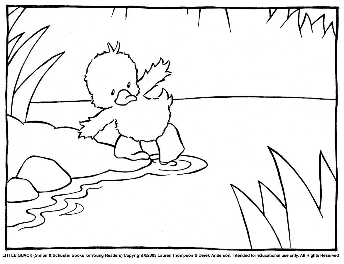 1173x900 Drawn Duckling Little Duck Pencil And In Color
