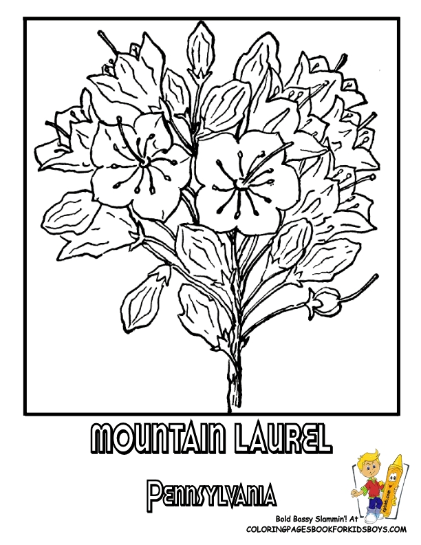 Puerto Rico Coloring Pages