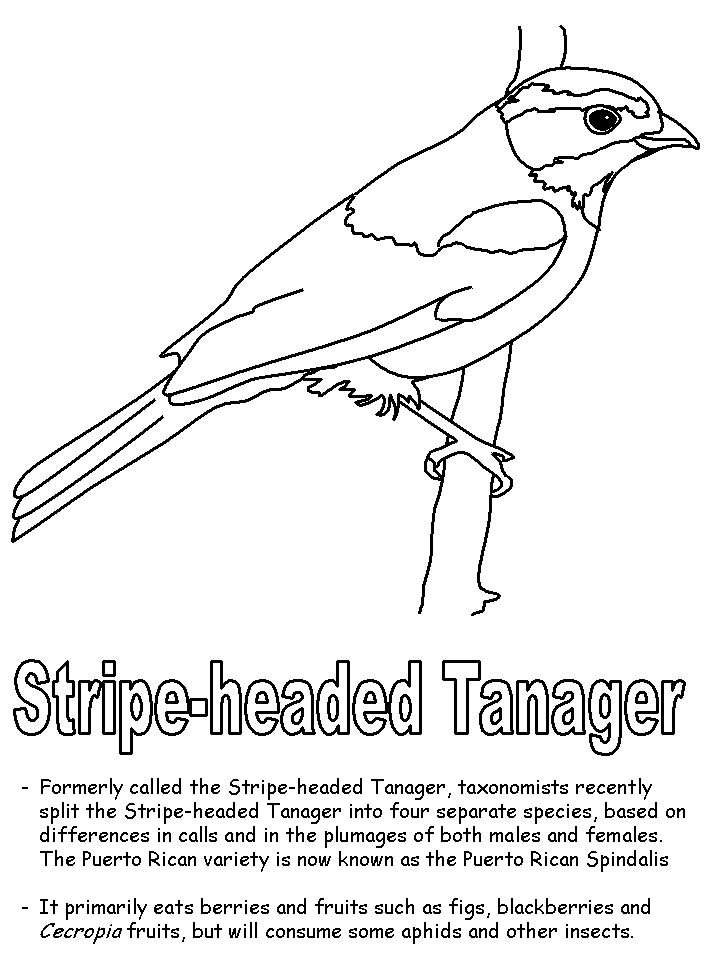 718x957 Free Coloring Pages Of Puerto Rico Itsy Bitsy Booksall Different