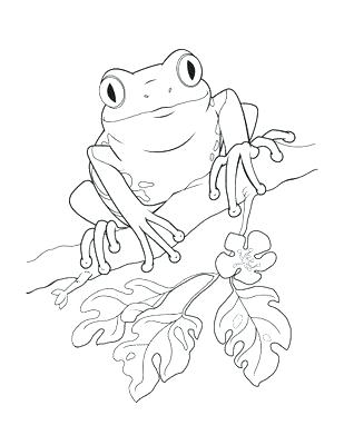 309x400 Puerto Rico Flag Coloring Page Com