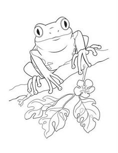236x305 Coqui Frog Coloring Page Printables Frogs
