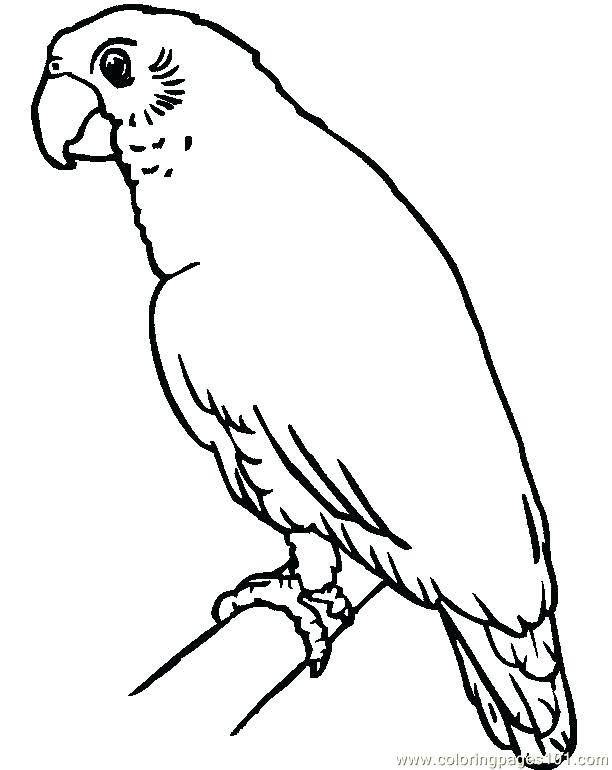 612x770 Free Coloring Pages Of Puerto Rico Free Printable Flag Coloring