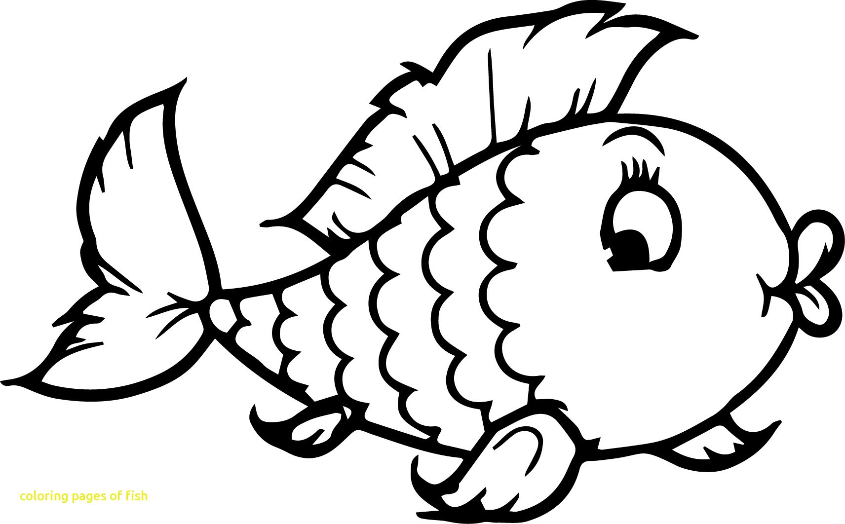 1712x1062 Shrewd Puffer Fish Coloring Pages Magic Page Free Printable 4385