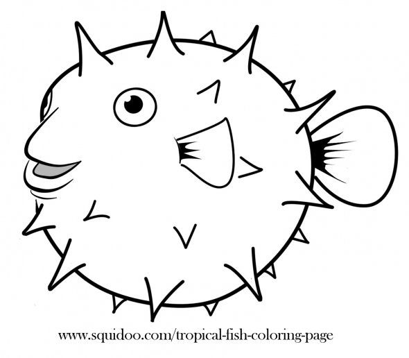 590x516 Puffer Fish Coloring Page Cute Imprimibles
