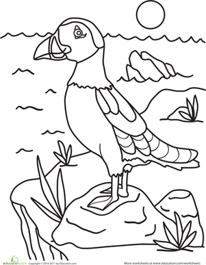 301x387 Puffin Worksheet