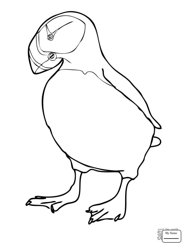 768x1024 Puffin Coloring Page Deeptown Club