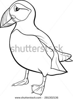 236x323 Atlantic Puffin Seabird Coloring Page (North Pole) Templates
