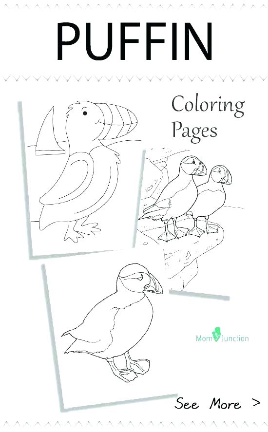 550x887 Puffin Coloring Page Seagull Coloring Page Puffin Coloring Page