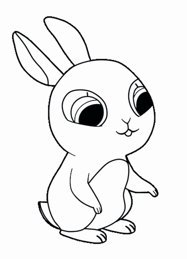 650x900 Puffin Coloring Pages To Print Gallery Rock Coloring Page Puffin