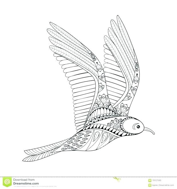 618x661 Seagull Coloring Page Puffin Coloring Page Puffin Rock Seagull