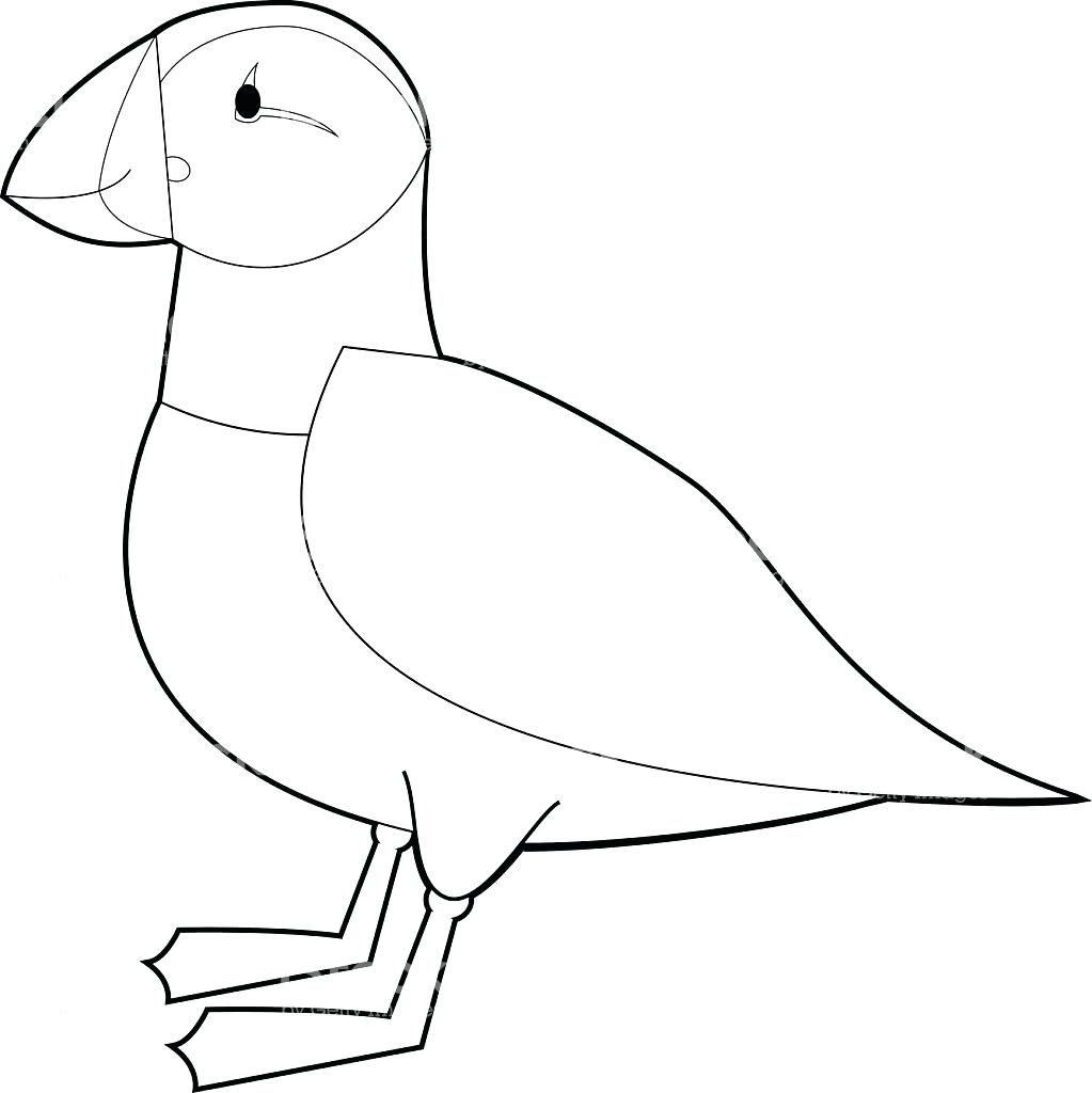 1023x1024 Awesome Puffin Coloring Page Collection Printable Coloring Sheet