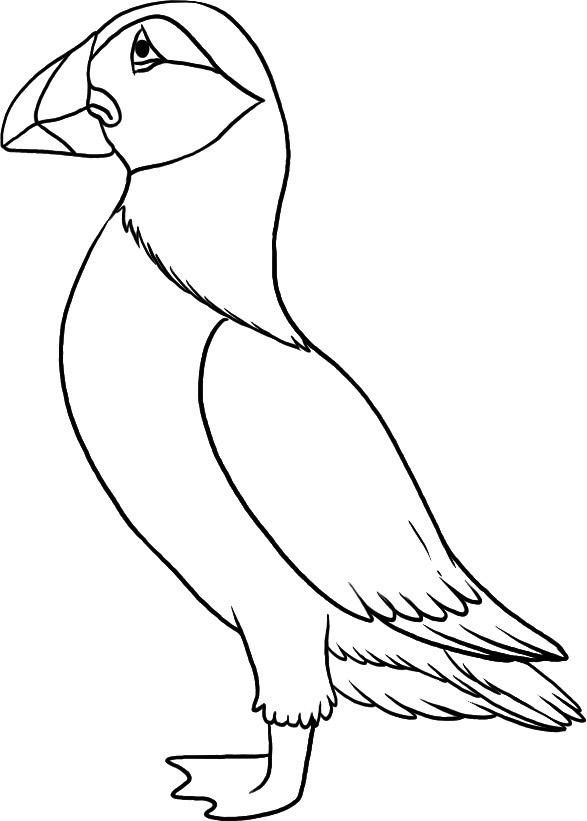 587x821 Top 10 Puffin Coloring Pages For Toddlers Craft