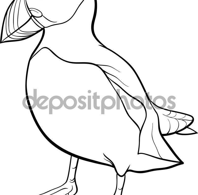 780x768 Tufted Puffin Coloring Page Free Printable Puffins Pages Animals