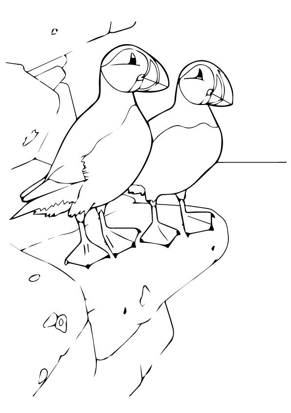 595x842 Print Coloring Image Hand Embroidery, Patterns And Craft