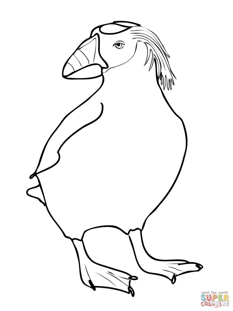 768x1024 Download Tufted Puffin Coloring Page