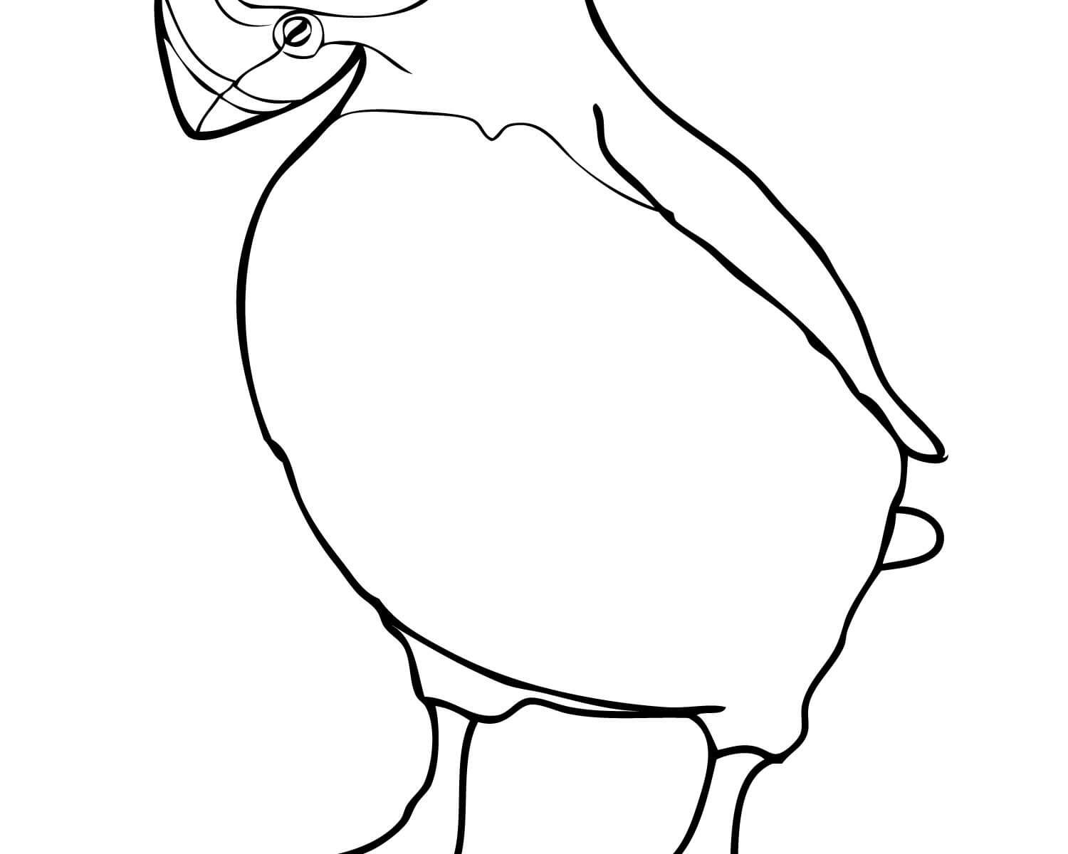 1500x1200 Impressive Puffin Coloring Page Cool Ideas