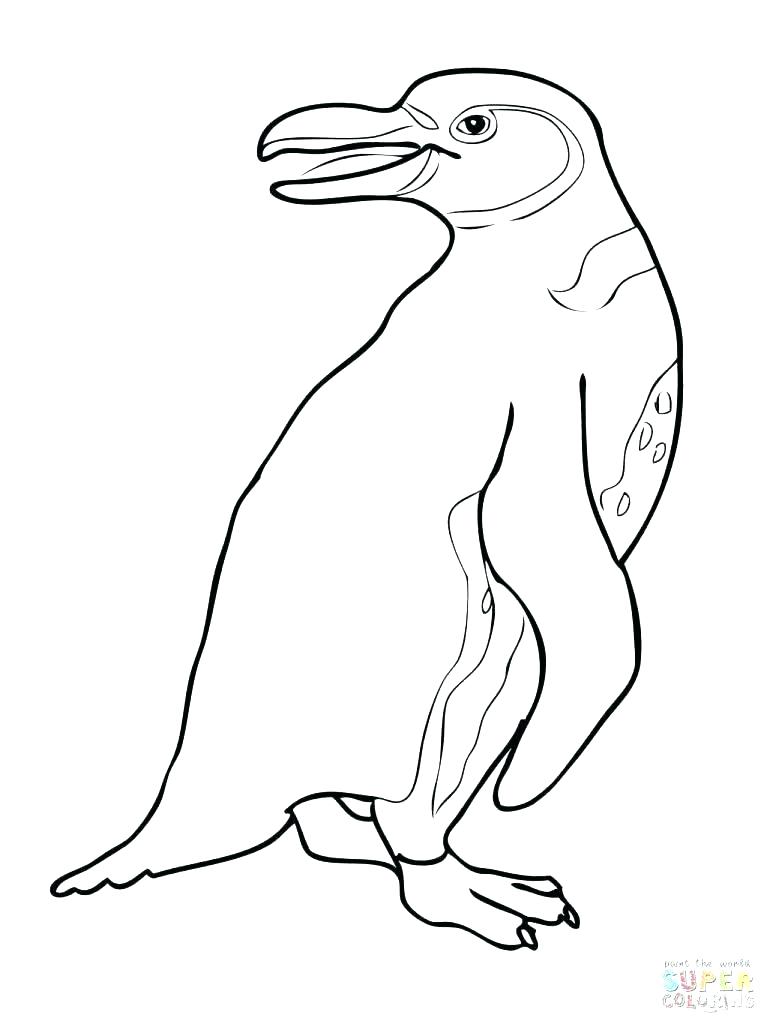 767x1024 Puffle Coloring Pages Club Penguin Coloring Pages Club Penguin