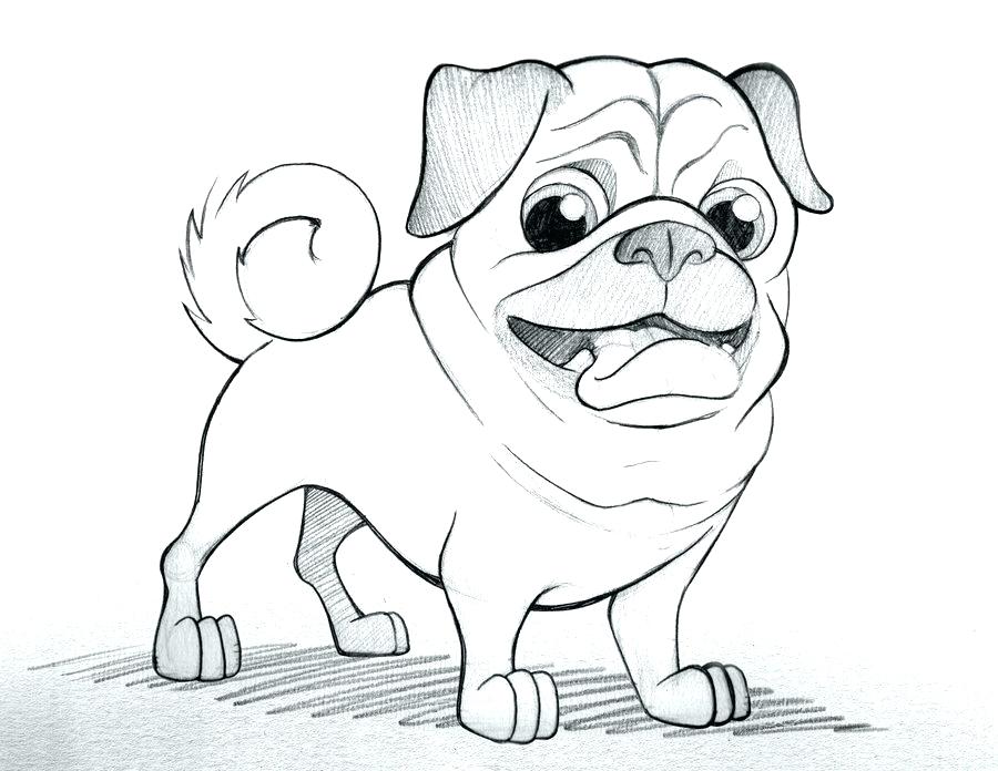 900x696 Pug Coloring Page Pug Coloring Pages And Pug Dog Sketch Coloring