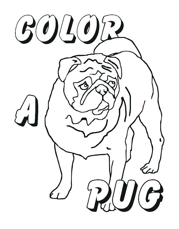 618x789 Pug Coloring Pages Pug Coloring Pages Pug Coloring Pages
