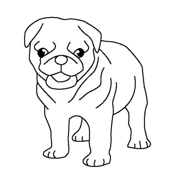 600x600 Pug Puppy Coloring Page Color Luna
