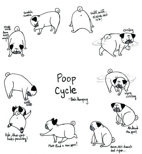 463x500 Coloring Pages ~ Pug Coloring Pages Drawing Outline Sample Resume