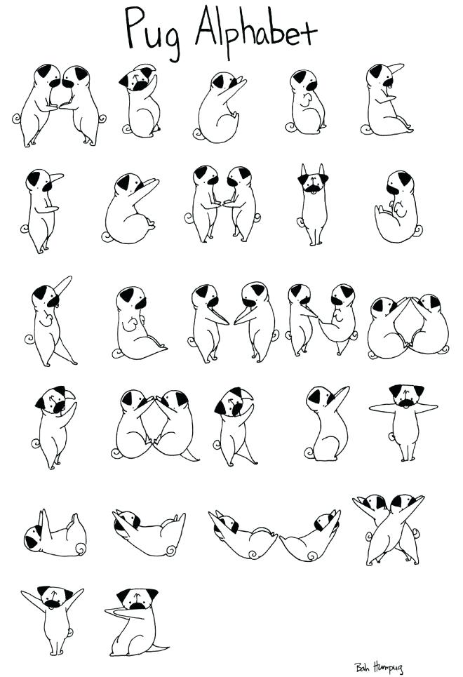 660x965 Cute Pug Coloring Pages Professional
