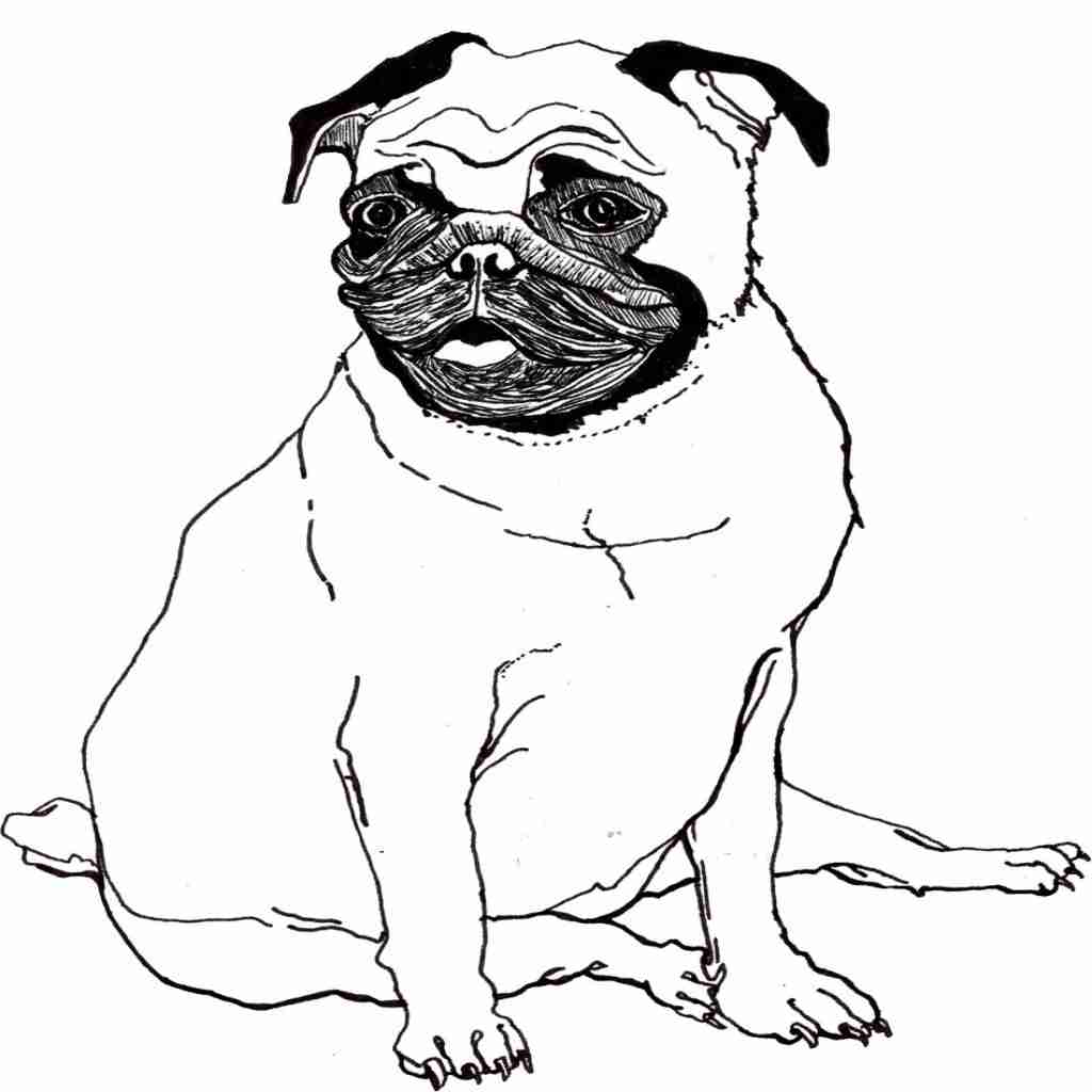 1024x1024 Free Printable Baby Pug Coloring Pages Sheets Animals Christmas