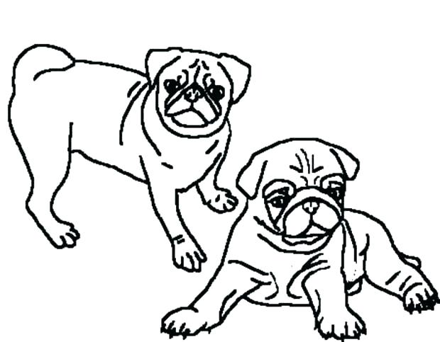 620x483 Pug Coloring Pages Printable Page Also Pugs Visualize Pictures