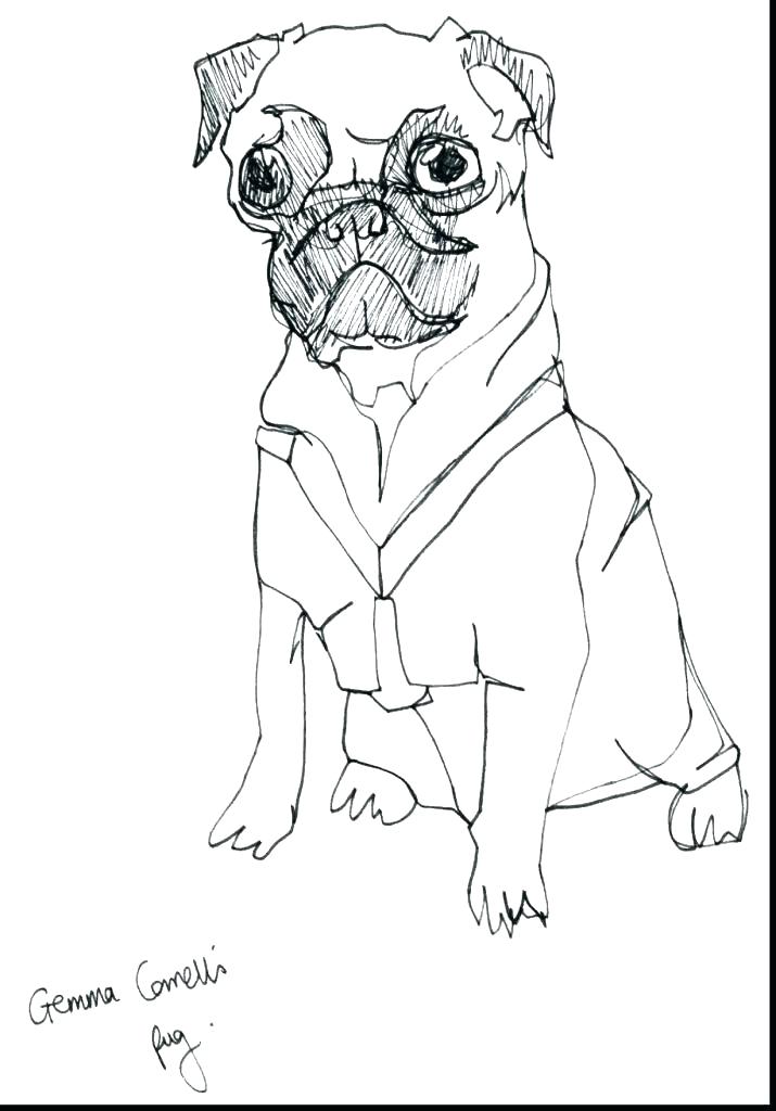 715x1024 Pug Coloring Pages Printable Pug Coloring Page Good Pug Coloring