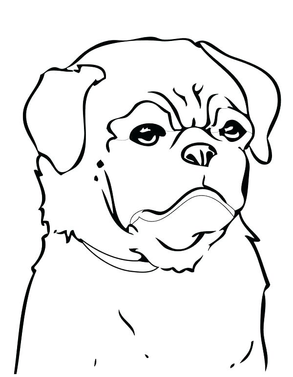 600x773 Pug Coloring Sheets Printable Pug Coloring Pages Coloring Pages