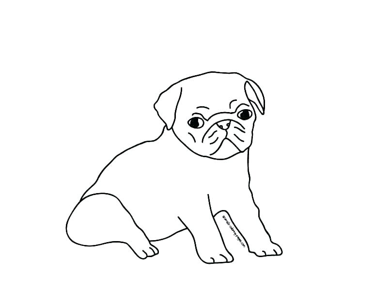 805x604 Pug Coloring Pages