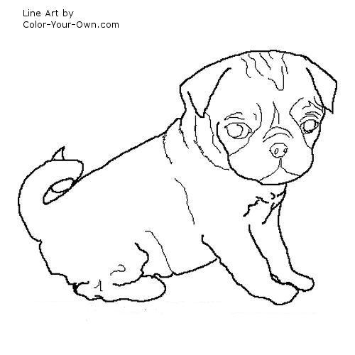 500x500 Pug Puppy Coloring Page
