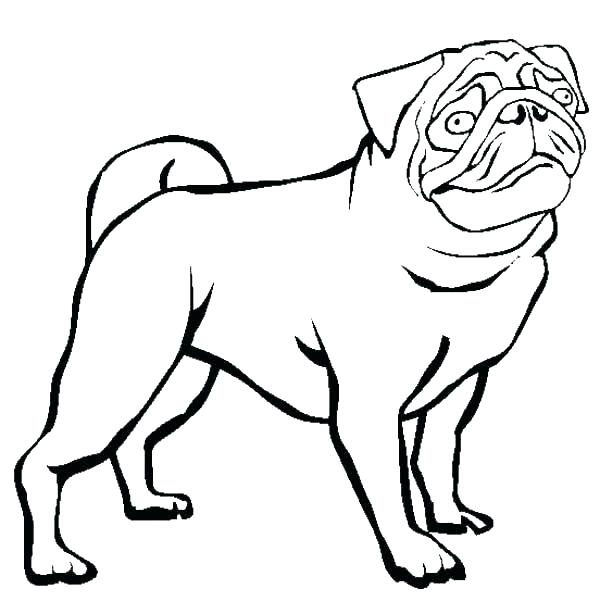 600x614 Pug Puppy Coloring Pages Free Pictures To Color Colouring Fuhrer